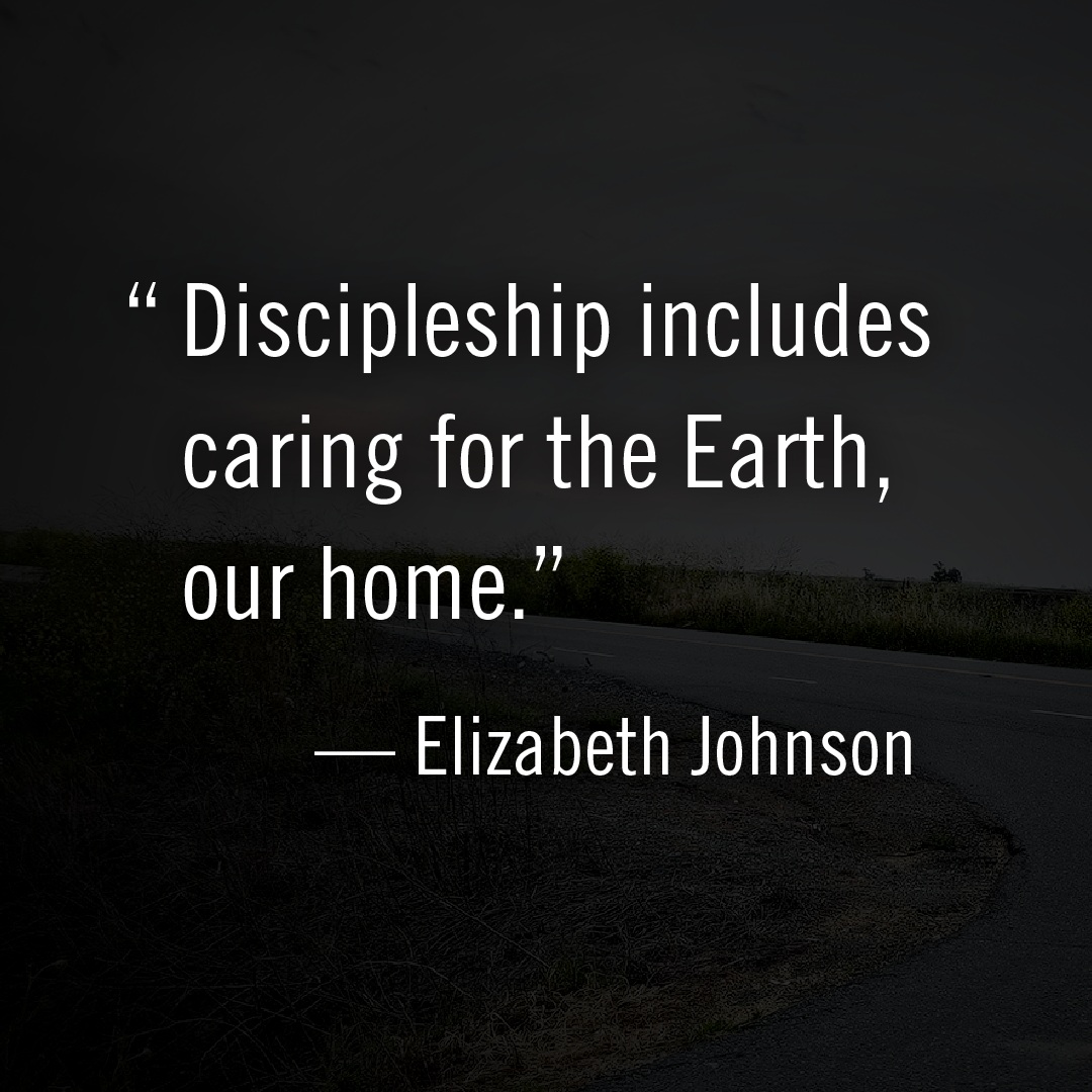A disciple is a student. To become a student of the way of Jesus is to become a disciple. Elizabeth Johnson rightly says that we are called to care for creation.